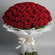 Букет 101 Красная роза Блэк Мэджик в Селенгинске