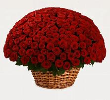 Премиум букет из: Розы в Селенгинске